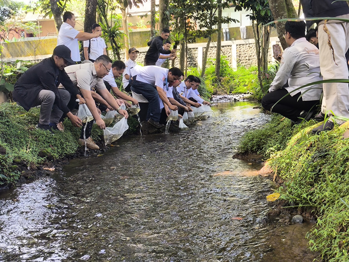 Bupati Afif Nurhidayat bersama sejumlah stakeholder menebarkan benih ikan di aliran air di depan Kantor DLH Kabupaten Wonosobo, Rabu (18/6/2025).
