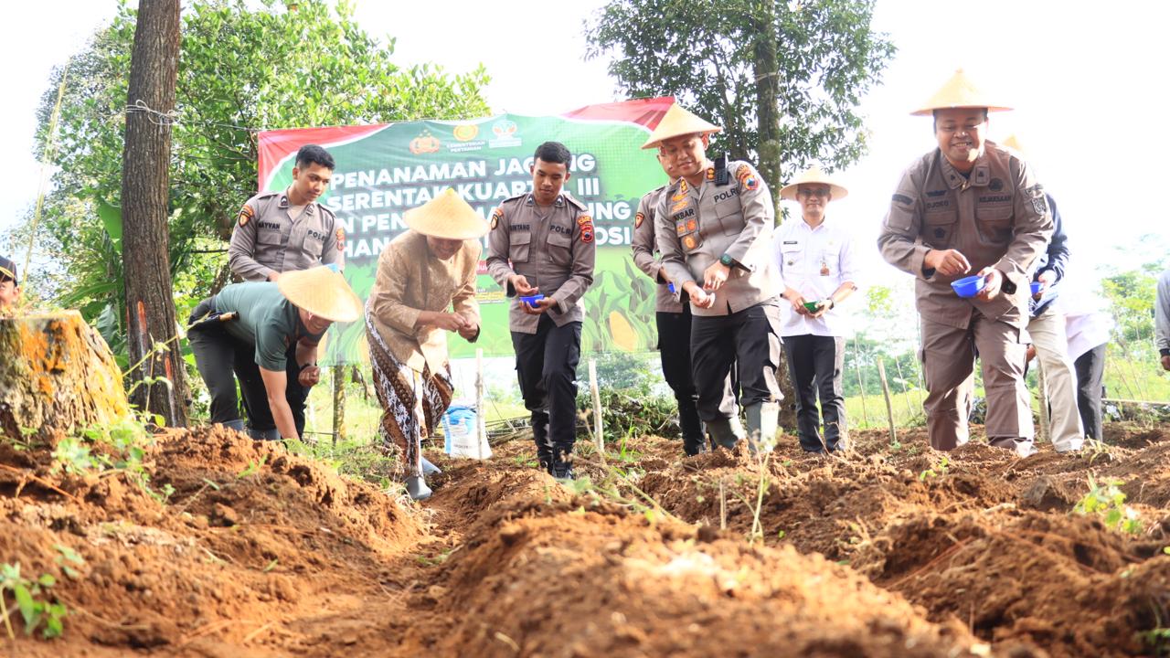 Jajaran Polres Wonosobo bersama forkompimda menanam jagung di lahan Perhutani.