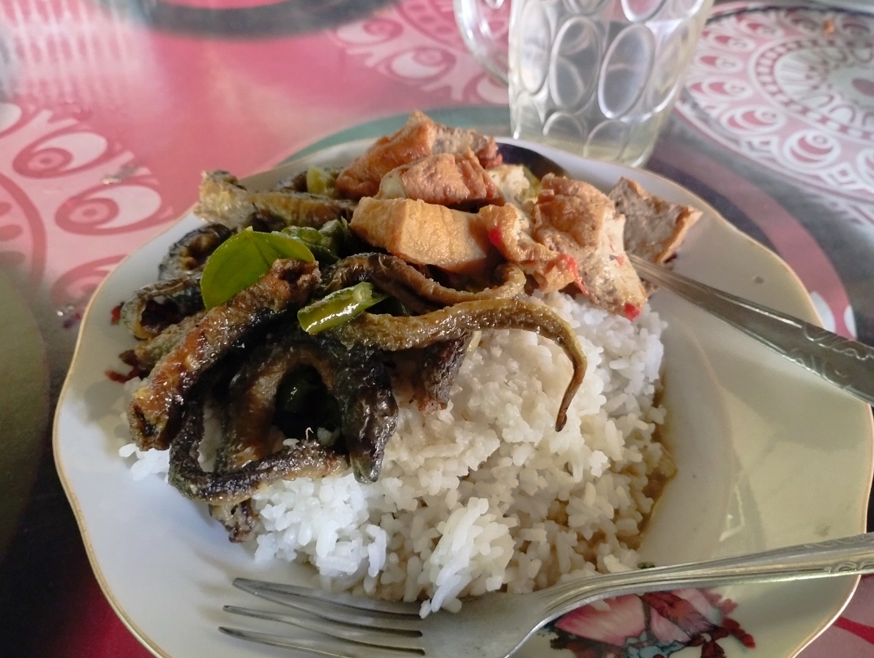 Mangut belut yang gurih ditambah sayur tahu khas kampung.