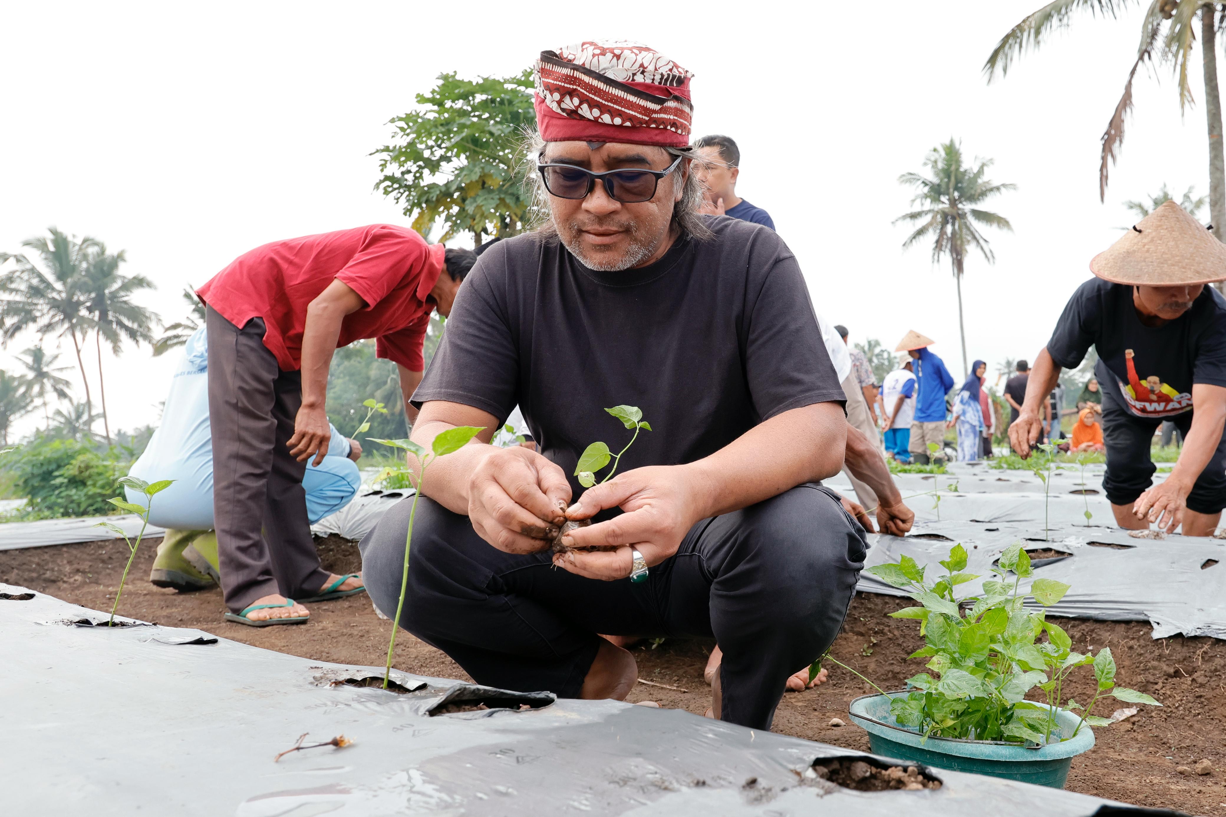 Bupati Temanggung Agus Setyawan saat menanam bibit cabai bersama petani.