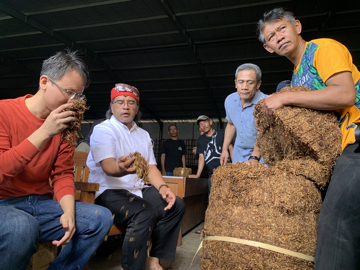 Bupati Temanggung Agus Setyawan bersama perwakilan PT Djarum Arif Raharja saat mengecek tembakau petani.