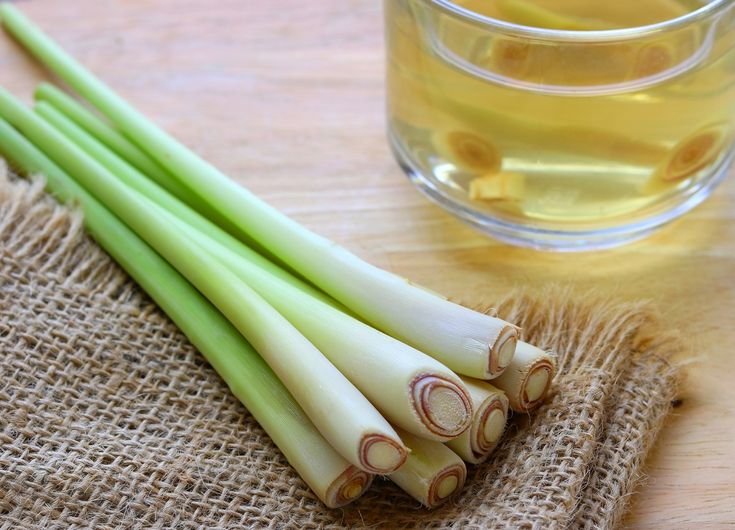 Minuman berkhasiat air rebusan sereh