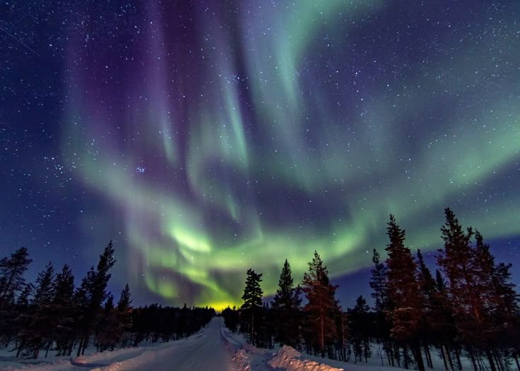 Aurora, cahaya berwarna-warni yang berkilauan di langit malam,