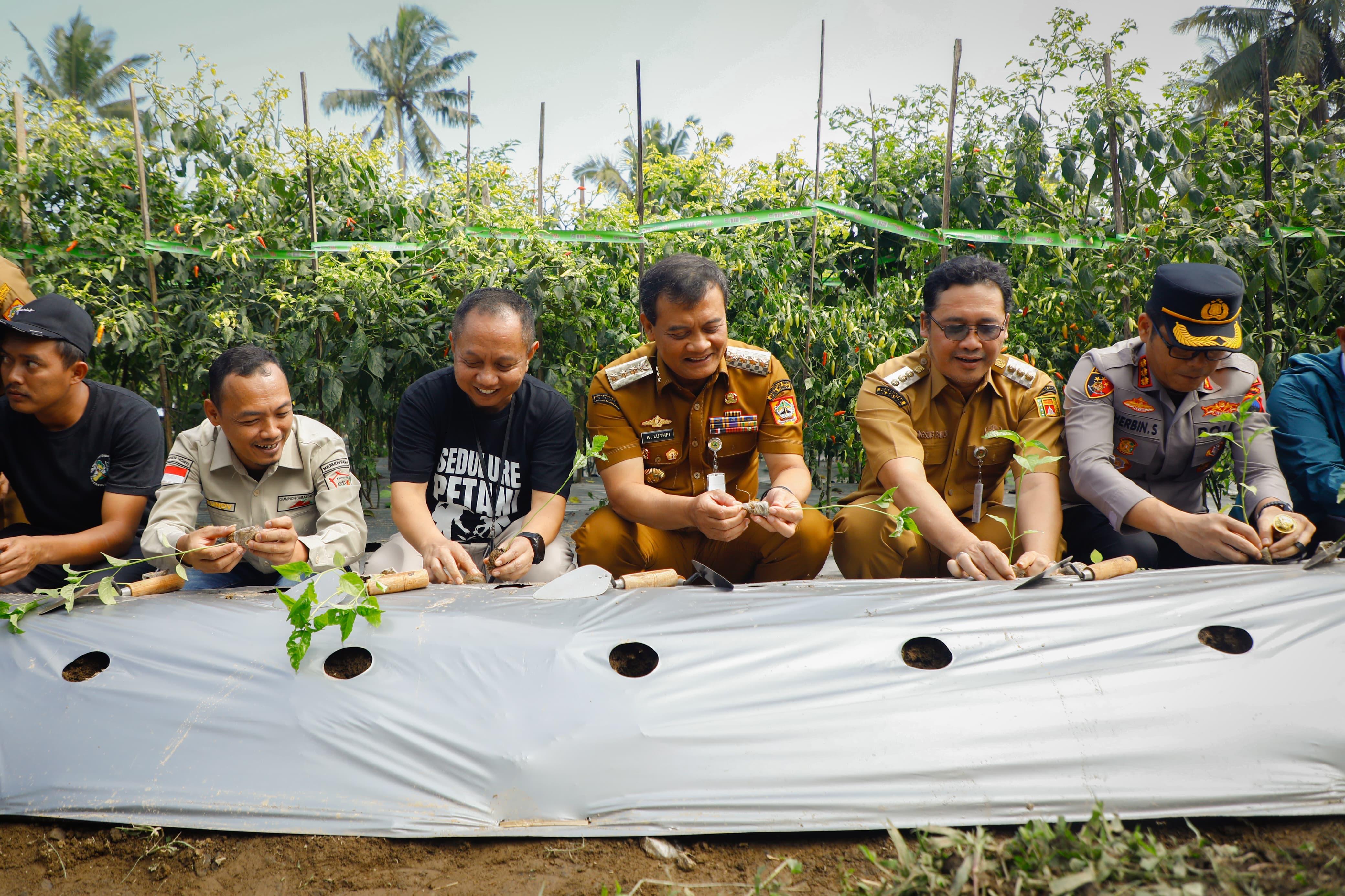 Gubernur Jawa Tengah Ahmad Luthfi bersama jajarannya menanam cabai di Desa Banyusidi, Kecamatan Pakis, Kabupaten Magelang Senin (22/9/2025).
