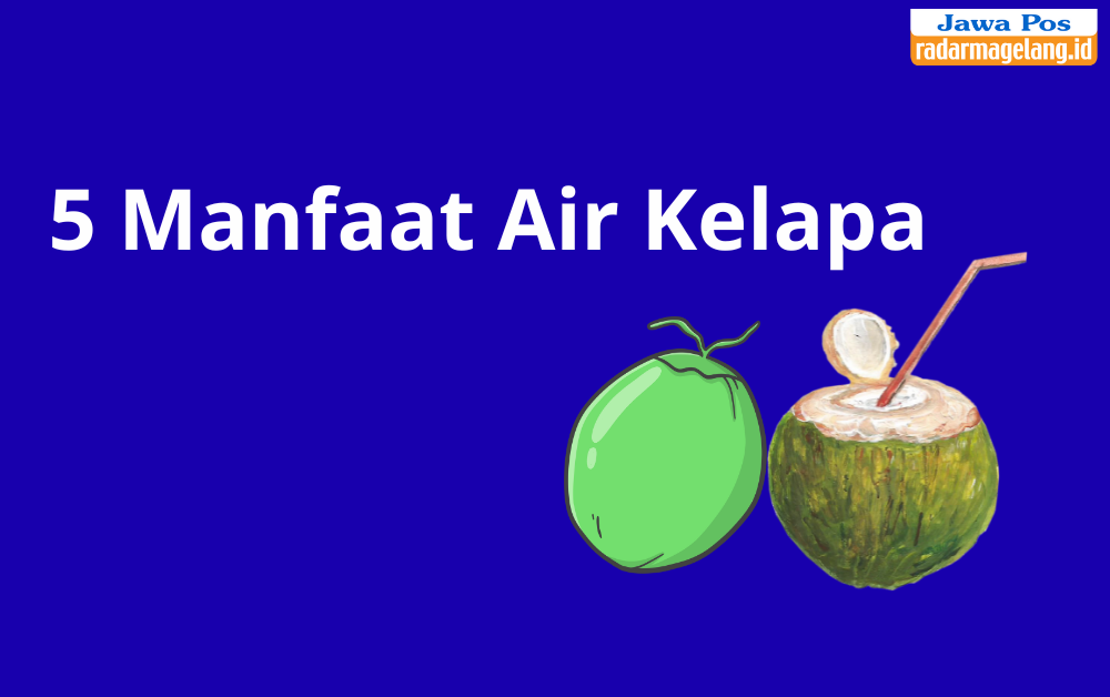 Manfaat Air Kelapa