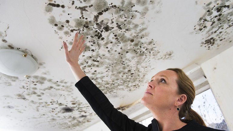 Jamur HItam (black mold) penuhi dinding ruangan yang lembab
