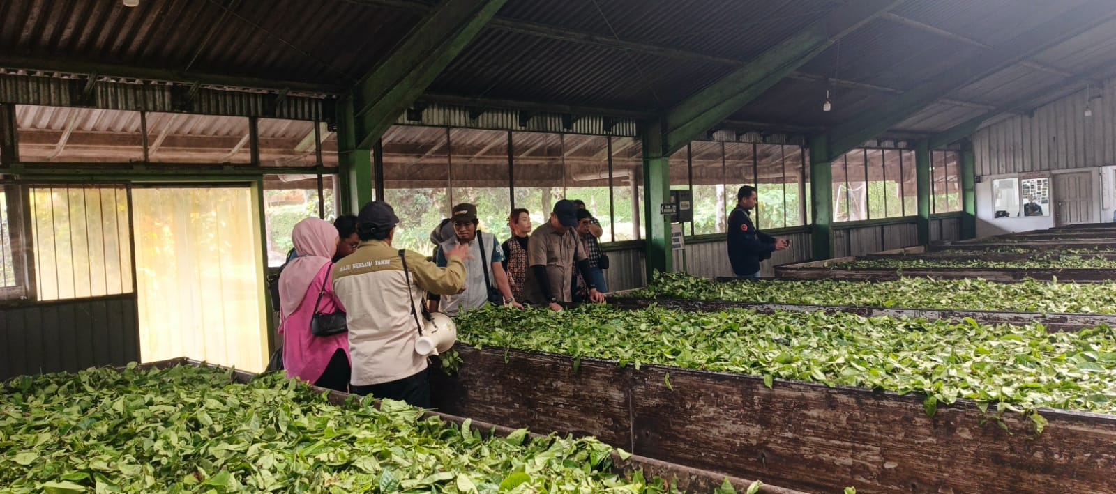 Kunjungan Tim dari WIF saat melihat museum teh di PT Tambi dan proses pengolahan daun teh di Agro Wisata Tambi.