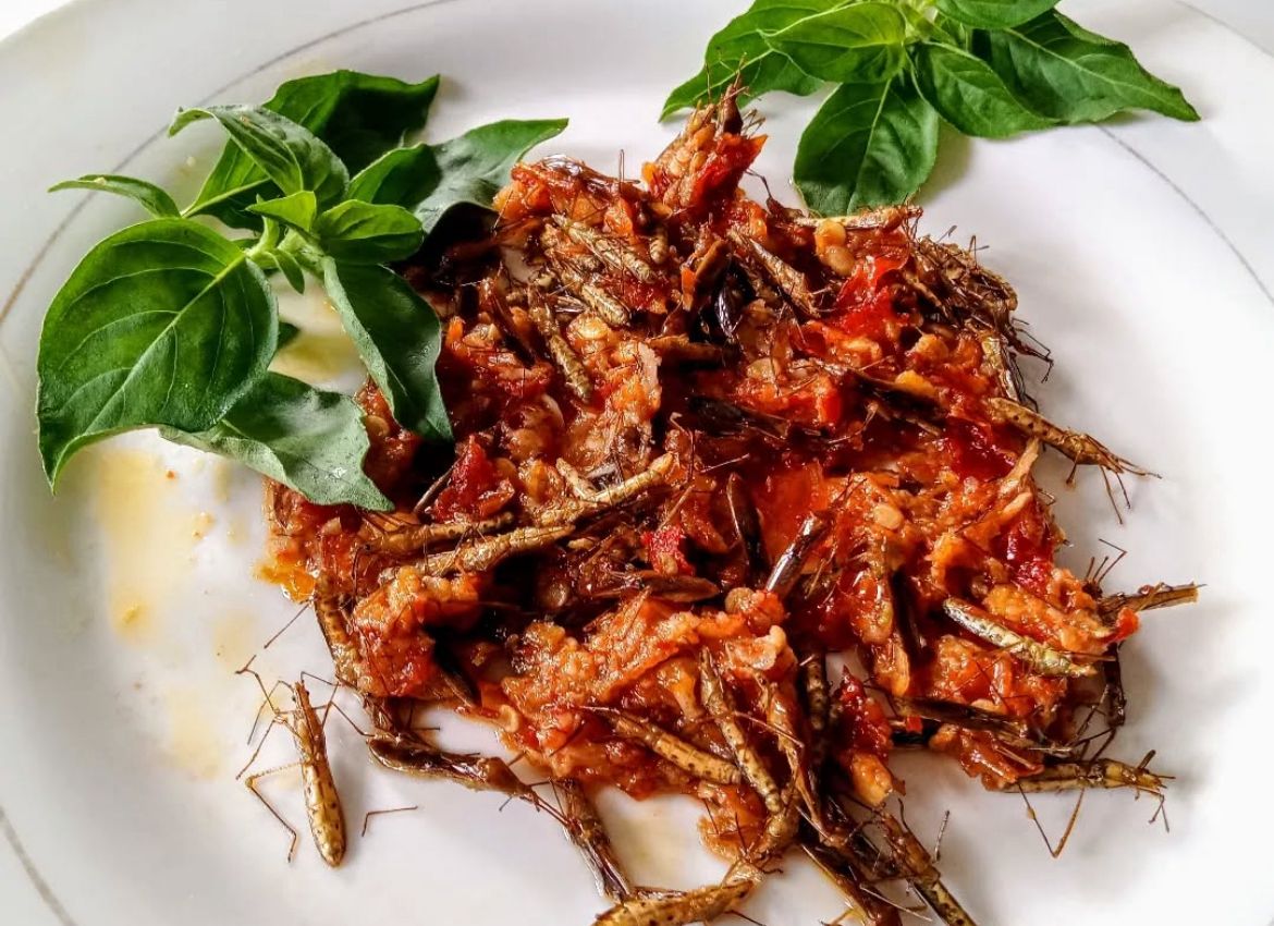 Hidangan sambal walang sangit dengan tambahan daun kemangi