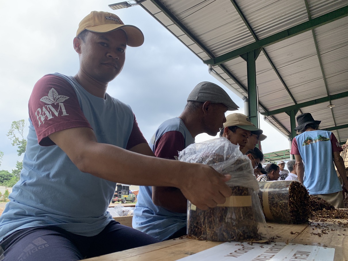 Aktivitas buruh rokok di sebuah gudang di wilayah Kabupaten Temanggung.