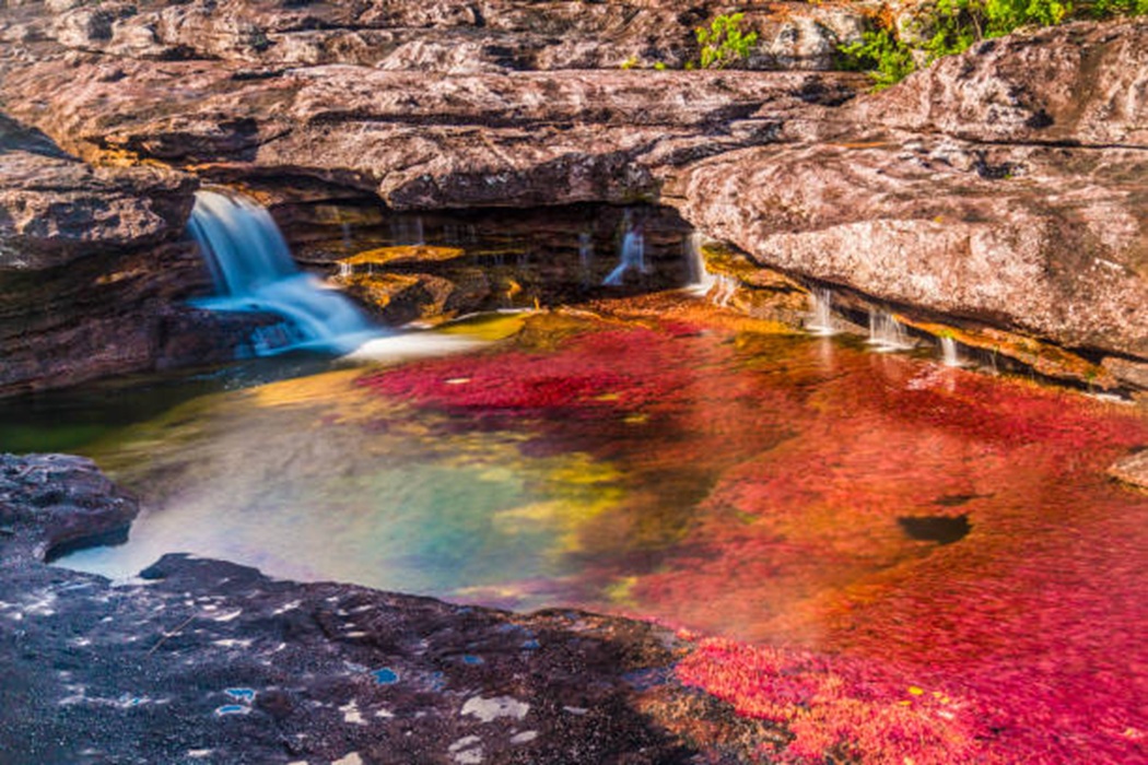 Cano Cristales, Sungai Lima Warna di Kolombia