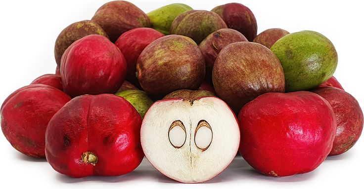 Buah mahkota dewa dari yang mentah dengan berwarna hijau dan yang sudah matang berwarna merah