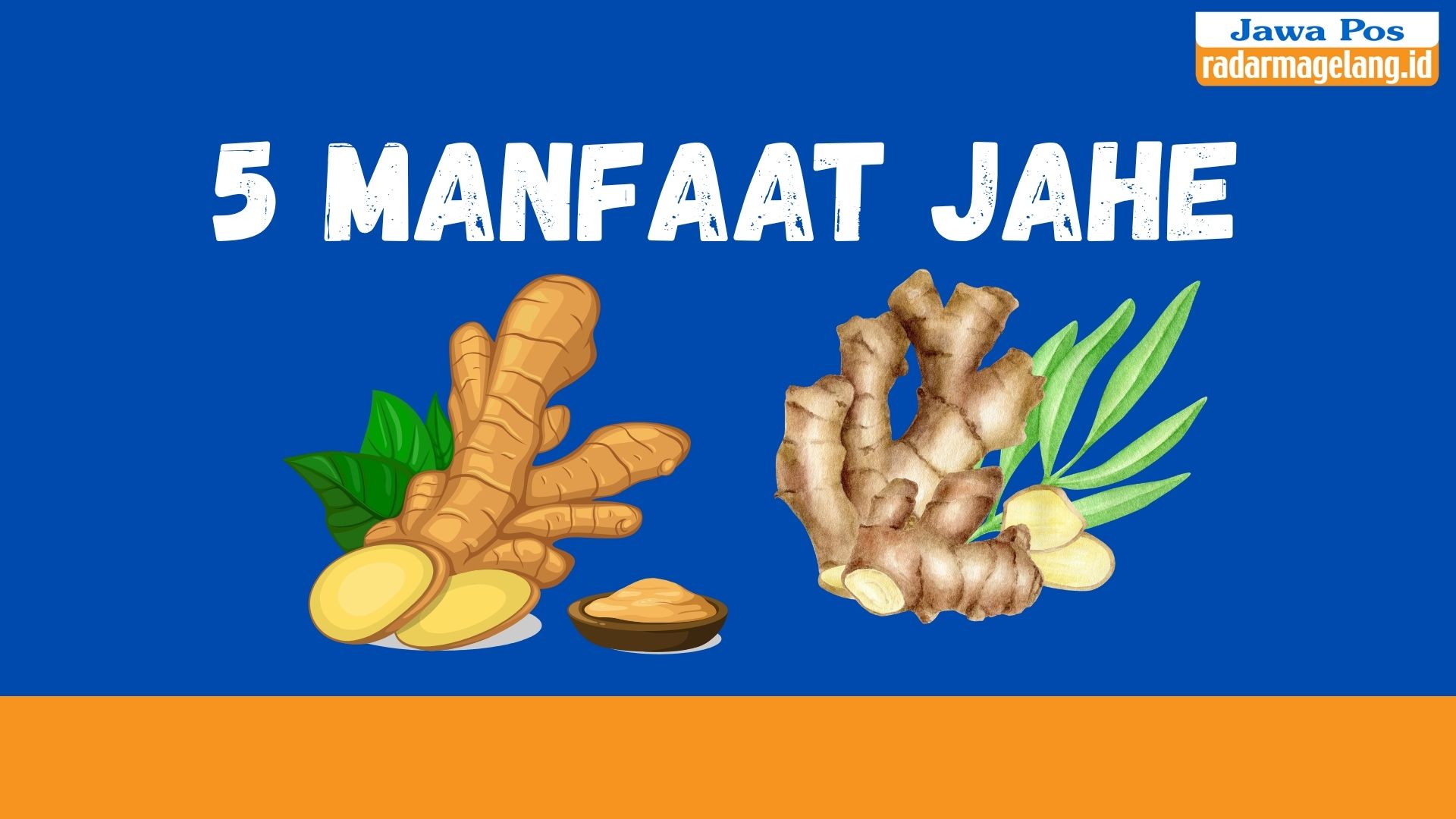Manfaat jahe bagi kessehatan