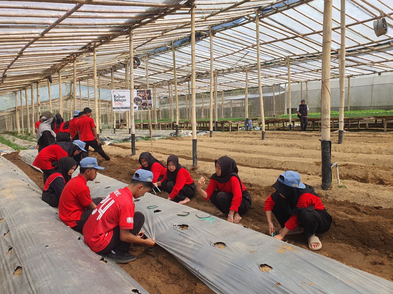Para pelajar tengah belajar di Kebun Belajar Tani milik Disperpa Wonosobo.