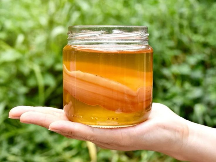 teh kombucha, minuman yang populer di kalangan masyarakat pecinta gaya hidup sehat.