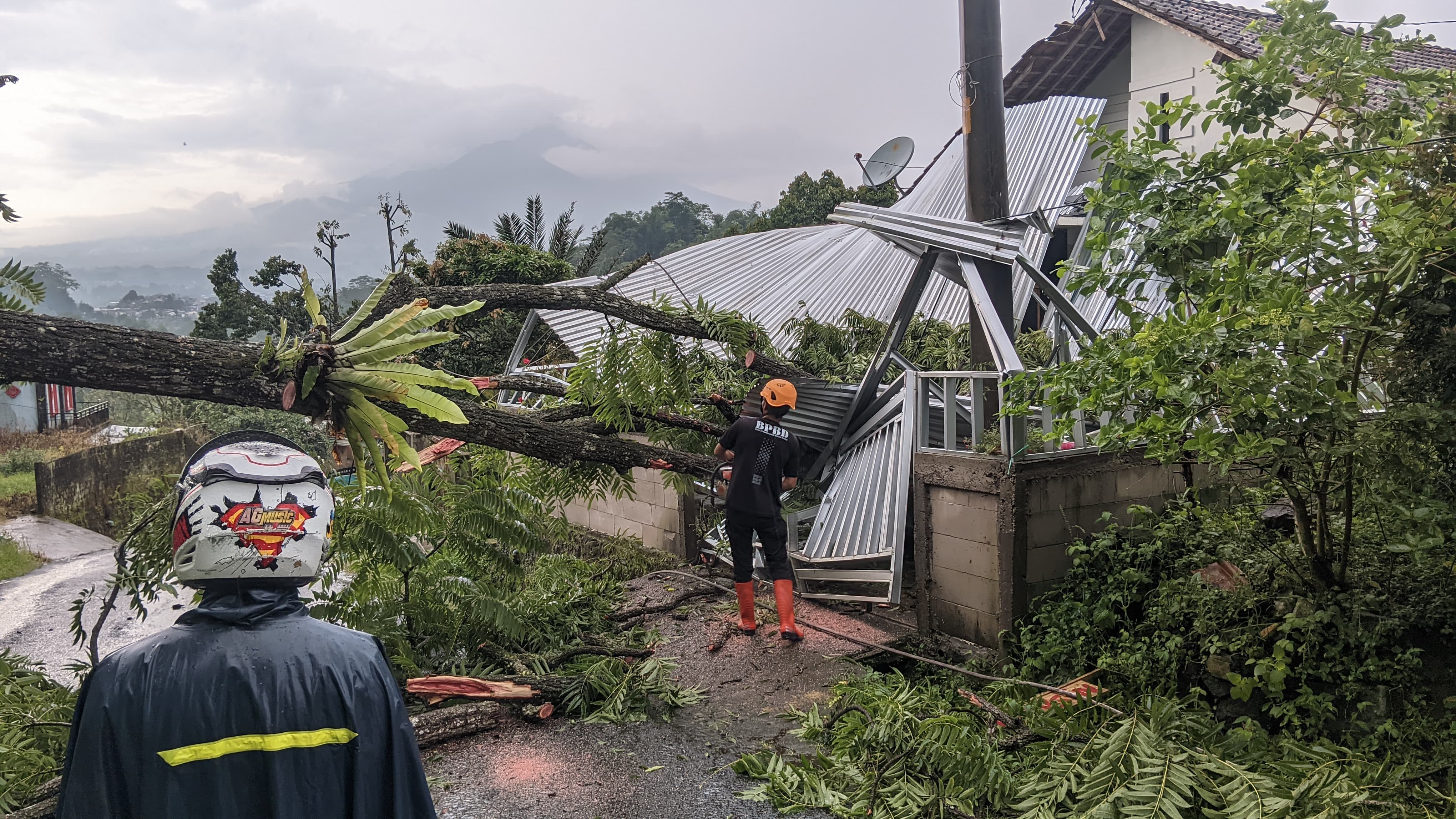 Petugas tengah menangani pohon tumbang di pertigaan Siantap Kelurahan Jaraksari, Wonosobo, Senin (3/11/2025).
