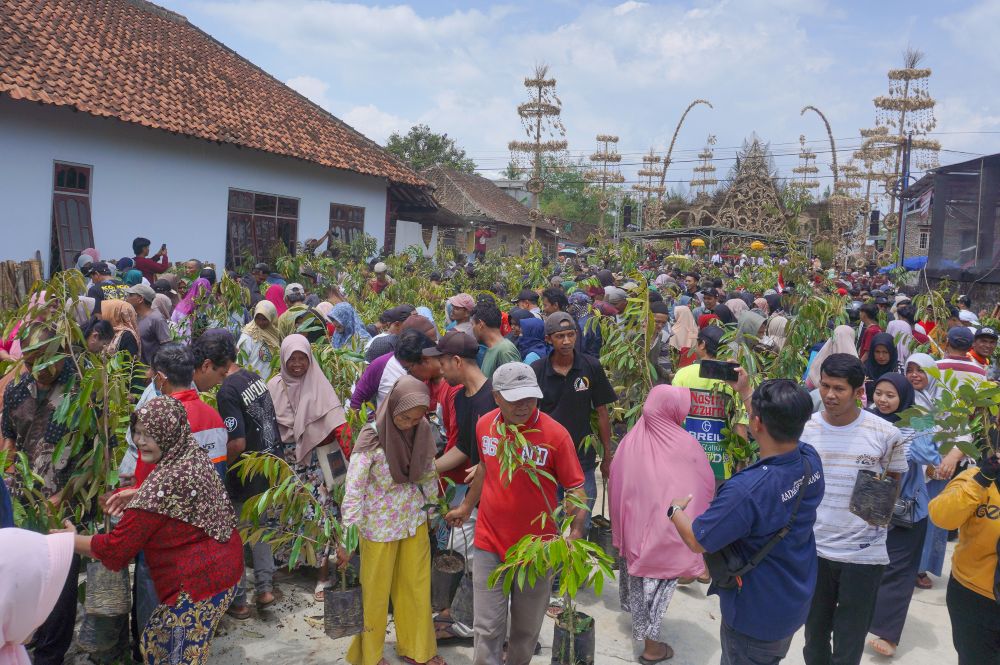Momen warga berebut 1500 bibit tanaman gratis setelah gong pembukaan festival dibunyikan tiga kali