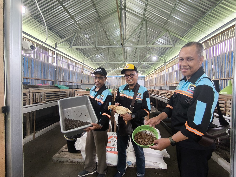 Pengurus BUMDes Kusuma Jaya mengenalkan peternakan terintegrasi dengan memanfaatkan magot BSF di kandangnya.