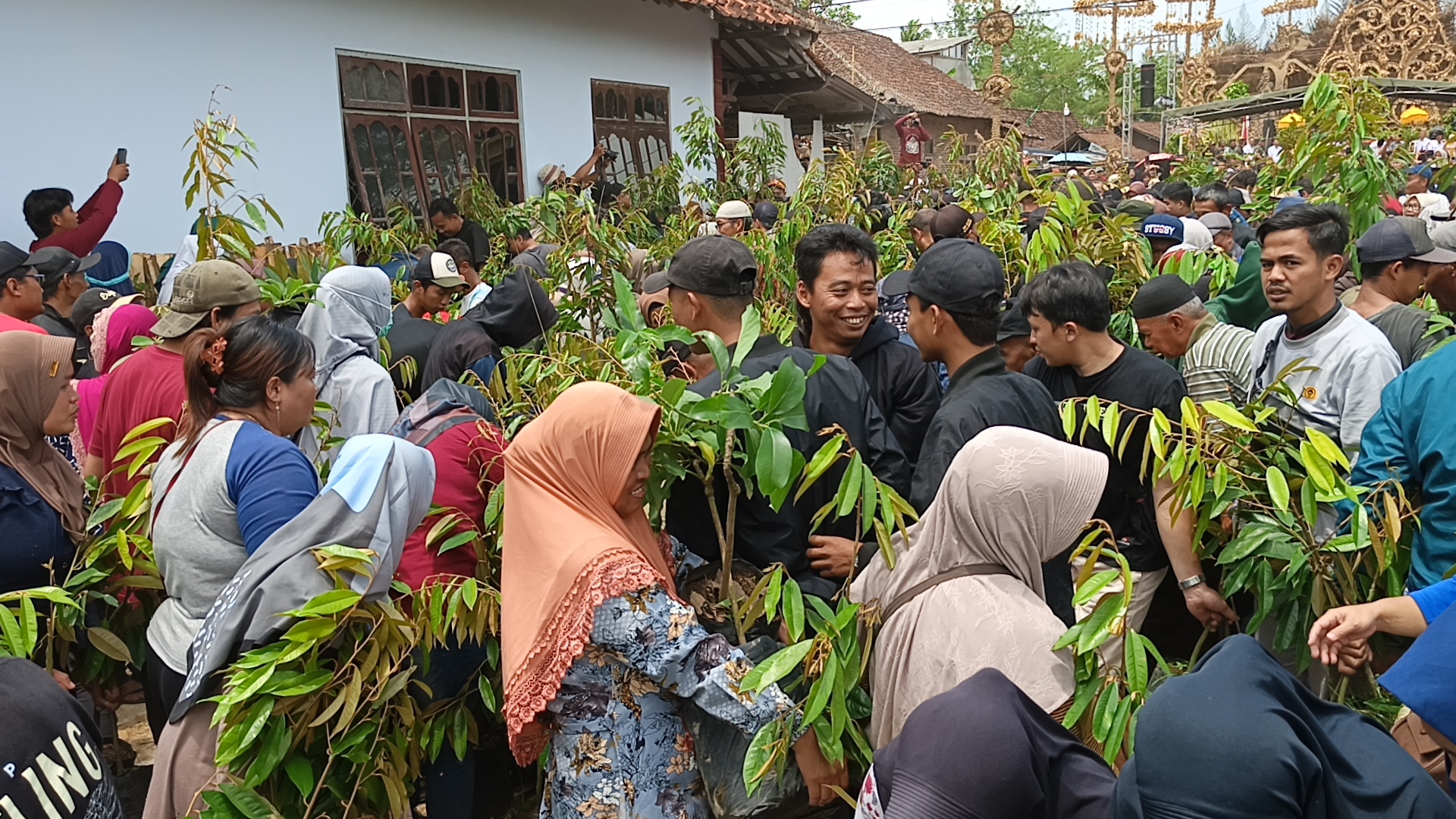 Warga berebut ribuan bibit tanaman buah dalam Festival Kebonkliwon IV di Desa Kebonrejo, Salaman, Kabupaten Magelang, Rabu (5/11/2025).