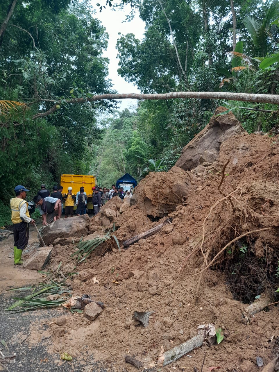Longsor menutupi jalan yang menghubungkan Wonosobo dan Purworejo di Desa Jangkrikan Wonosobo, Rabu (5/11/2025).