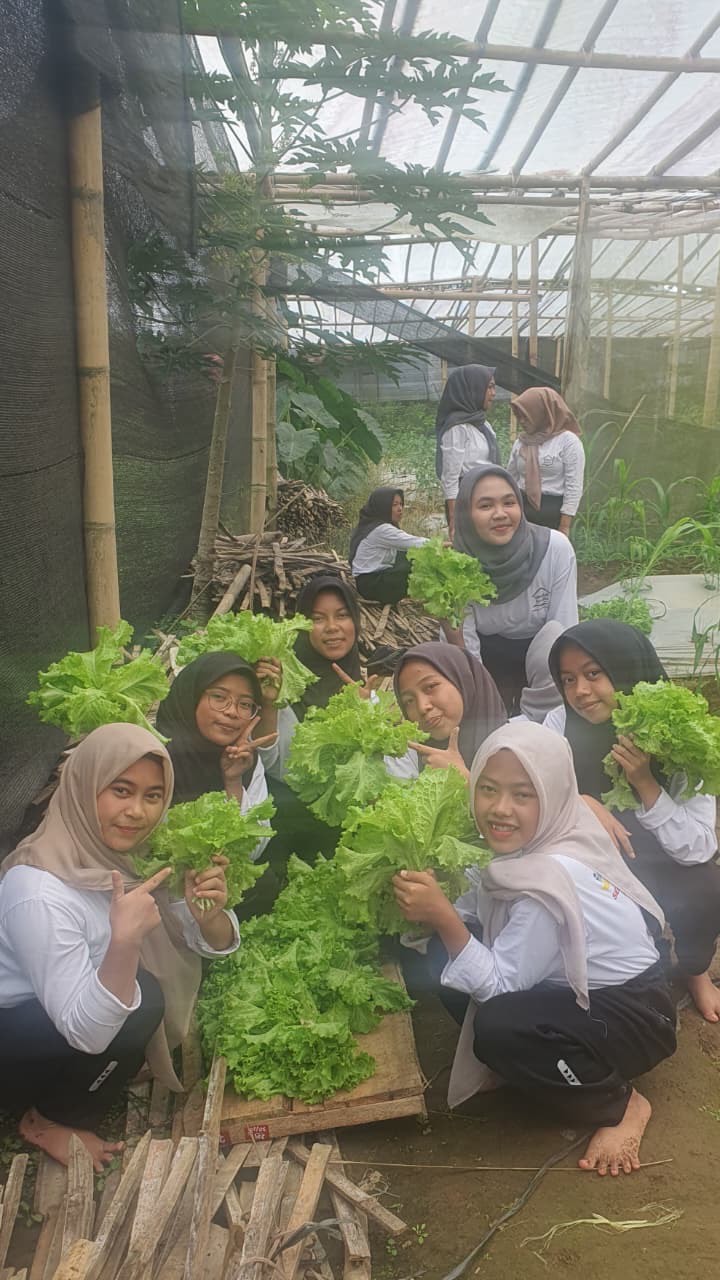 Siswa sekolah rakyat panen sayur hasil tanaman mereka di Kebun Belajar Tani, Rabu (12/11/2025).