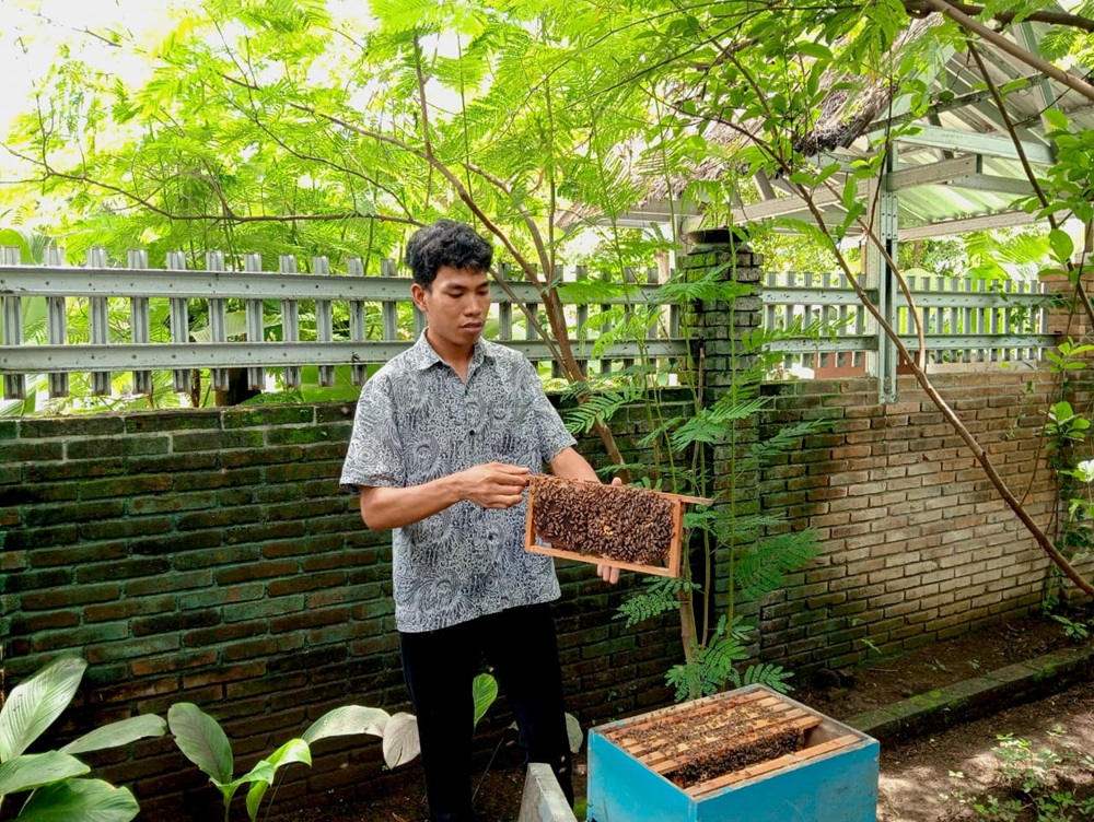 Seorang karyawan Griya Lebah Tuksongo sedang mengeluarkan frame berisi kangsi lebah dari dalam kotak