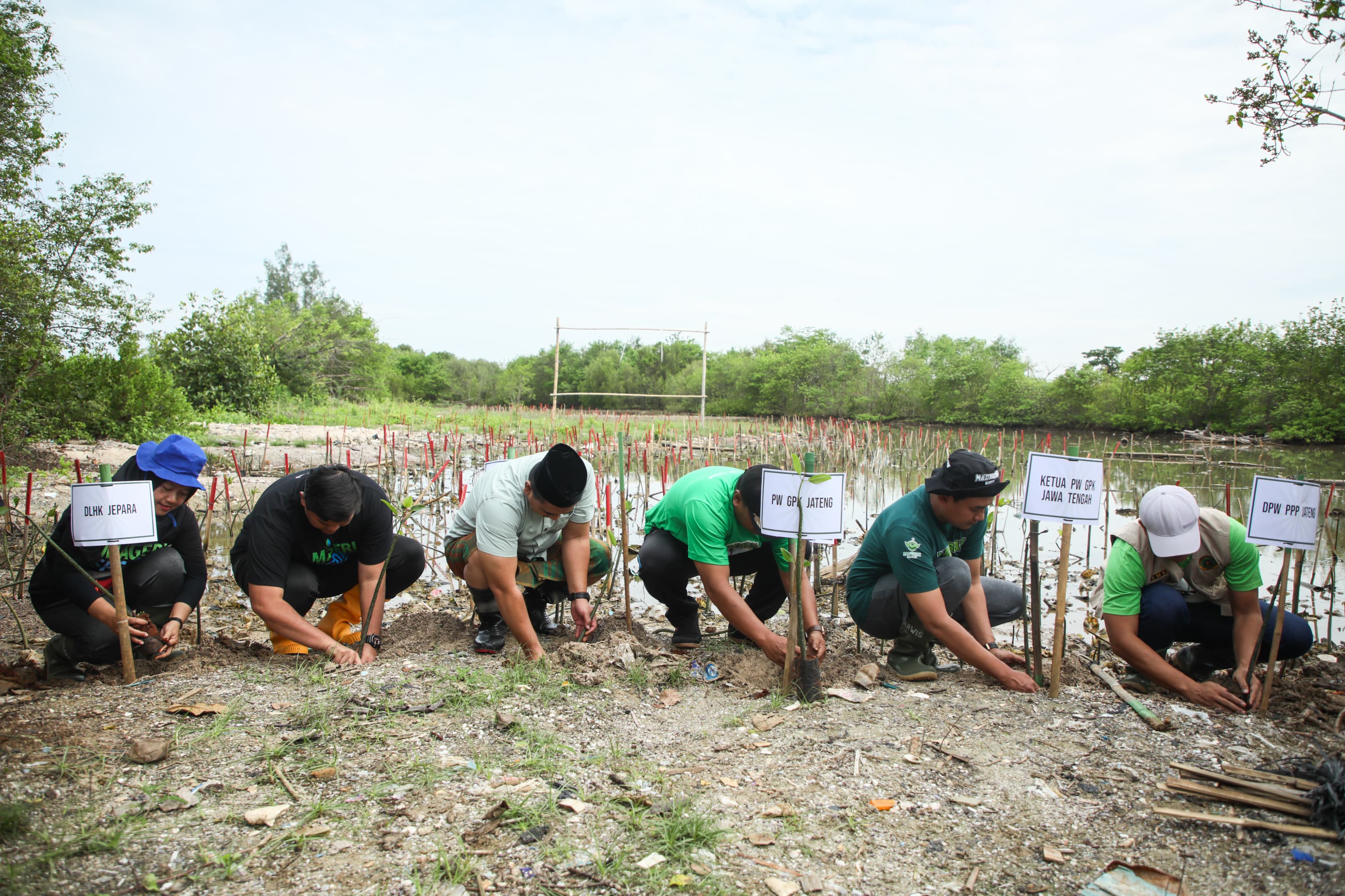 Wakil Gubernur Jawa Tengah Taj Yasin menanam mangrove di Pantai Tanggul Tlare, Kecamatan Kedung,Jepara  pada Sabtu (22/11/2025).