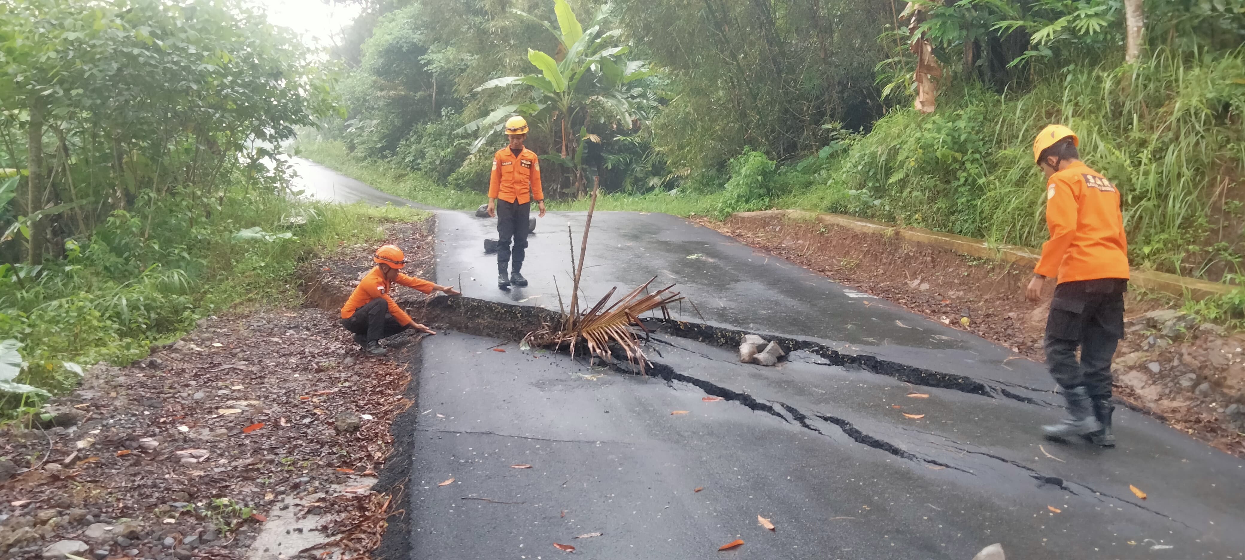 Ruas jalan Desa Purwosari  Kaliwiro retak pada Kamis (20/11/2025) dini hari. Tanah bergerak ini juga terjadi tahun lalu.