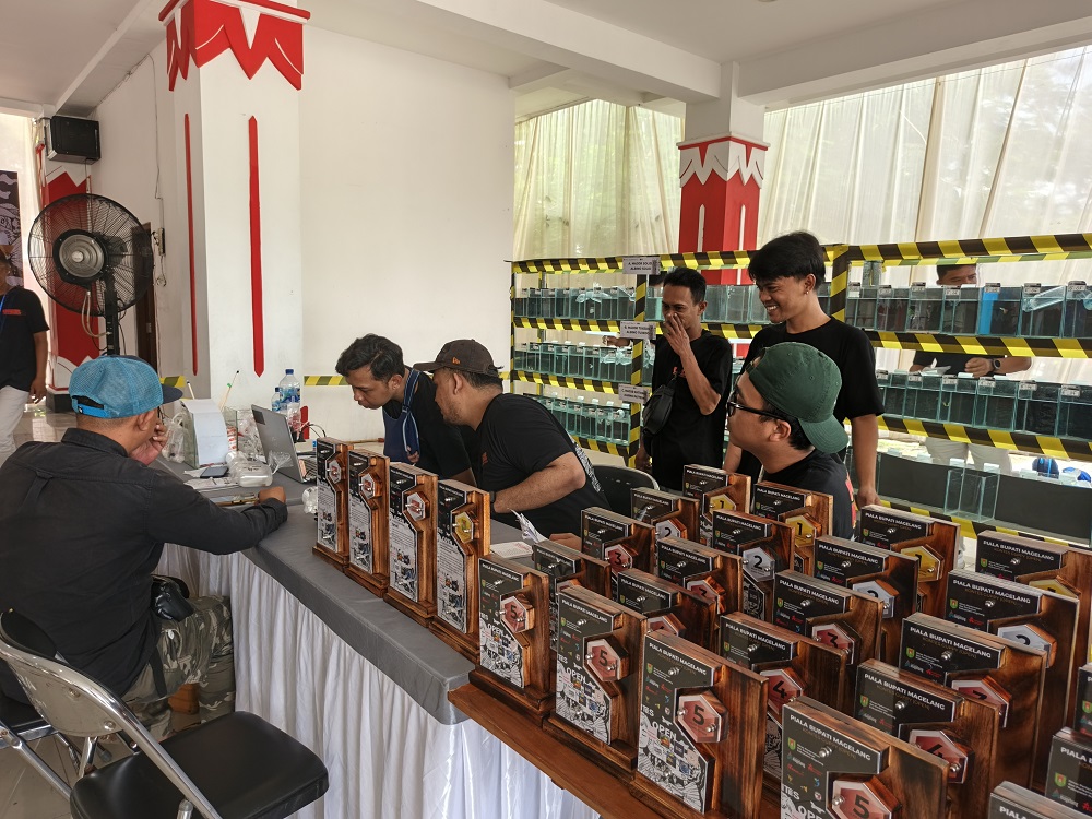Peserta lomba kontes ikan guppy saat mendaftar di Borobudur Fish-Tival yang digelar di Lapangan drh. Soepardi, Mungkid.