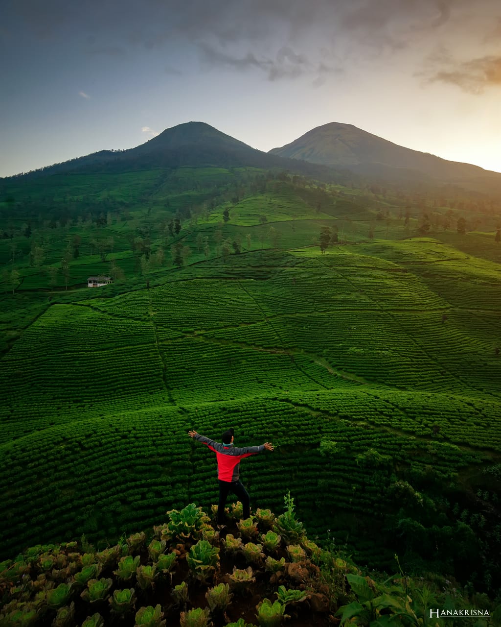 Pesona Gunung Cilik di Kecamatan Kertek yang menjadi daya tarik bagi wisatawan yang berkunjung ke salah satu desa wisata yang eksis di Wonosobo.
