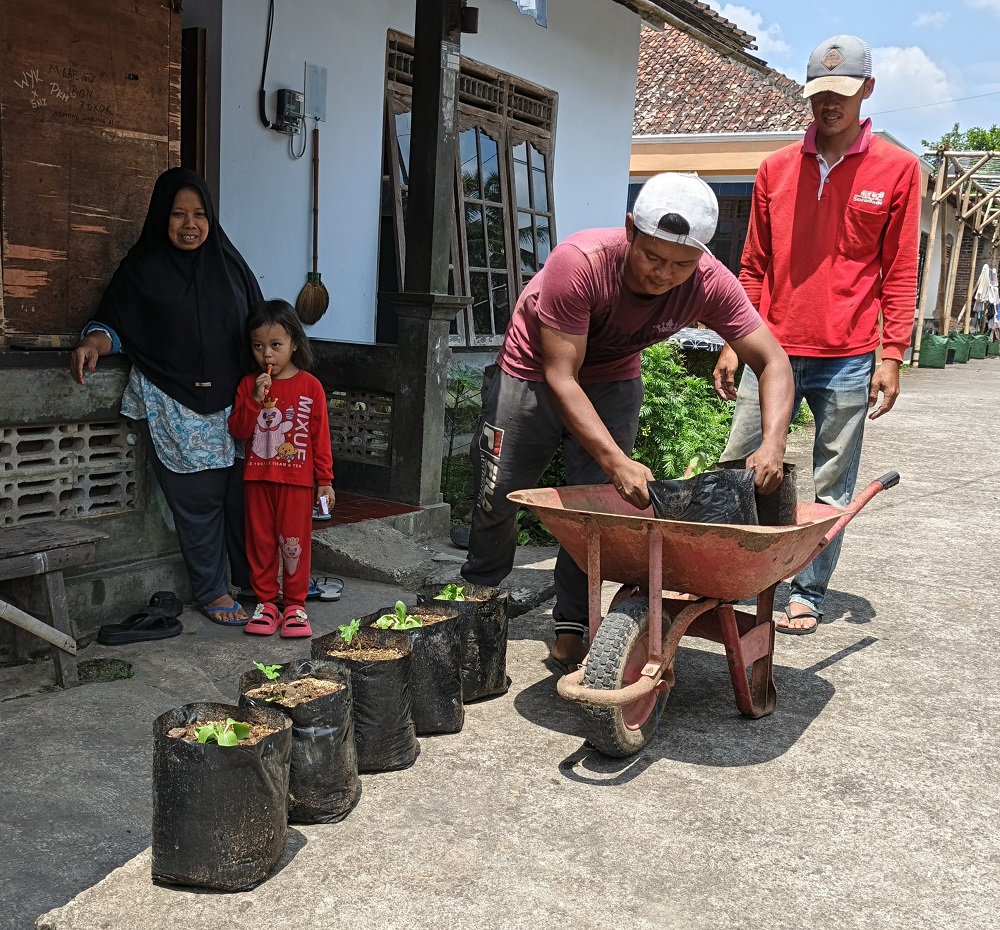 Perwakilan muda-mudi membantu membagikan sejumlah polybag yang ditanami sayuran kepada warga untuk mendorong program ketahanan pangan di Desa Dawung, Rabu (10/12/2025).