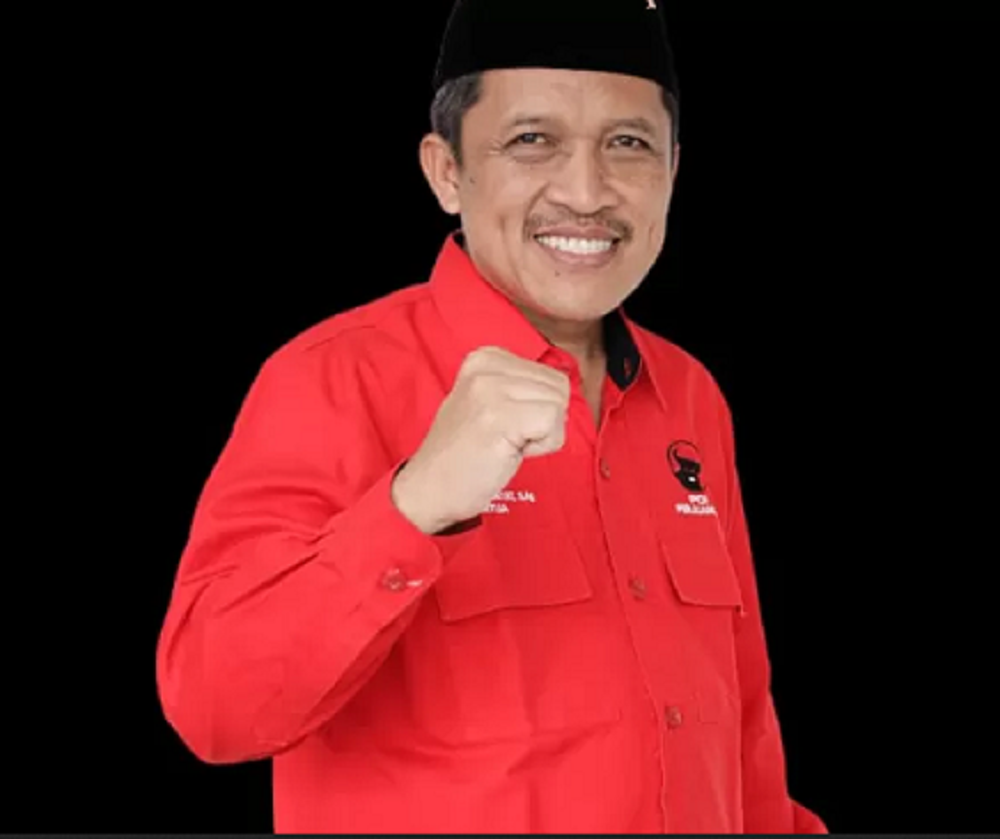 Ketua DPC PDIP Kabupaten Wonosobo Afif Nurhidayat