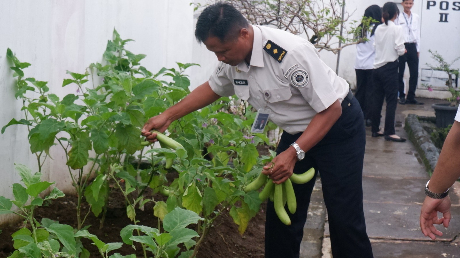 Rutan Temanggung panen hasil pertanian dan pangan yang menjadi program pembinaan warga binaan.