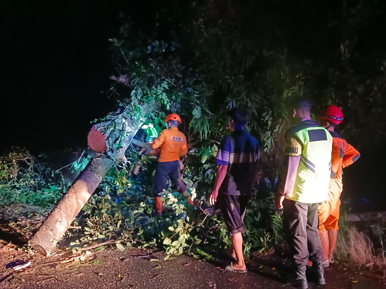 Petugas menangani pohon tumbang akibat hujan lebat disertai angina kencang pada Rabu (21/1/2026) malam di wilayah Kecamatan Kaliwiro.