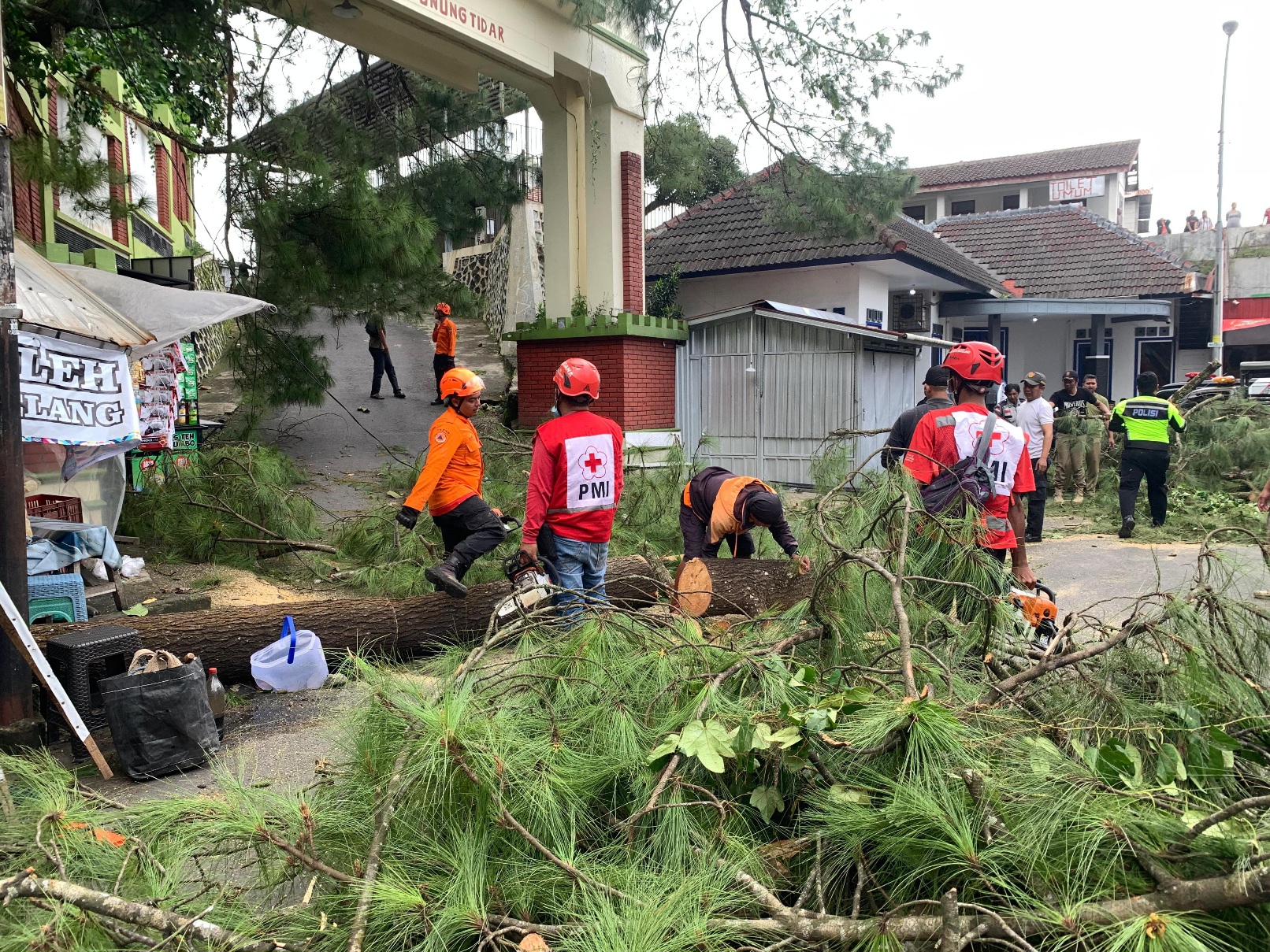 Petugas menangani pohon tumbang di Kebun Raya Gunung Tidar, Sabtu (24/1/2026).