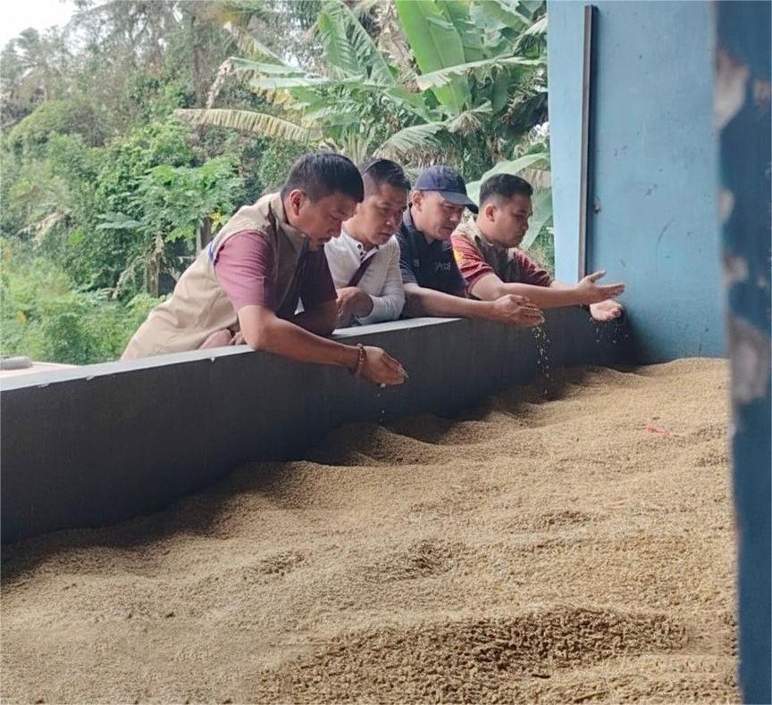 Bulog Cabang Magelang  jemput bola menyerap gabah petani di sentra-sentra panen padi di Kebumen dan Purworejo, Minggu (25/1/2026).