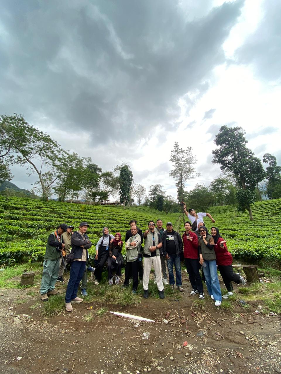 Wisatawan foto di depan hamparan perkebunan teh Tambi Wonosobo.
