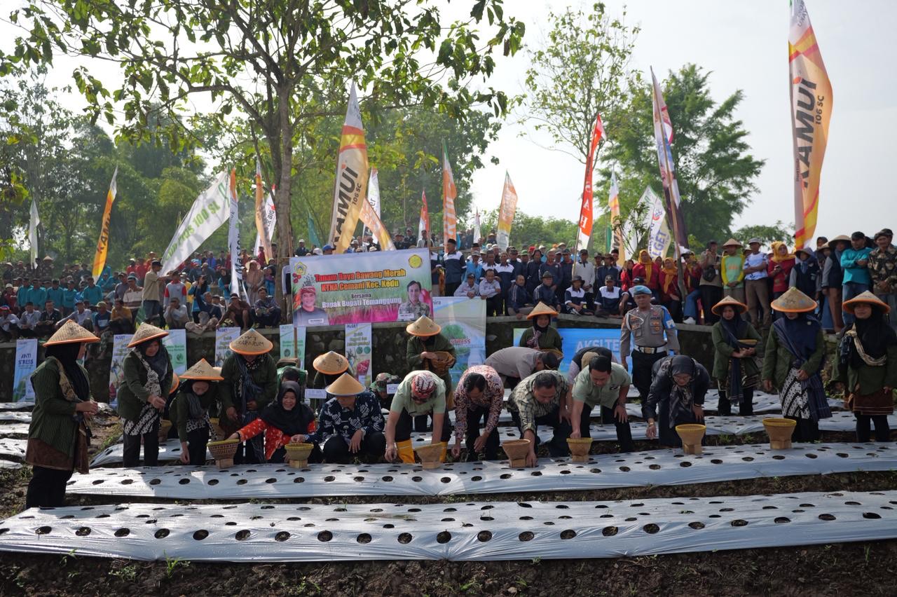 Para petani lintas desa bersama Bupati Temanggung Agus Setyawan menanam bawang merah di Desa Danurejo, Kecamatan Kedu, Kamis (5/2/2026).