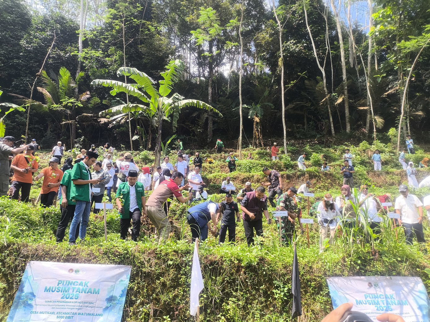 Para pelajar dan lintas sektoral menanam ribuan bibit kopi di wilayah Kecamatan Sukoharjo, Kamis (5/2).