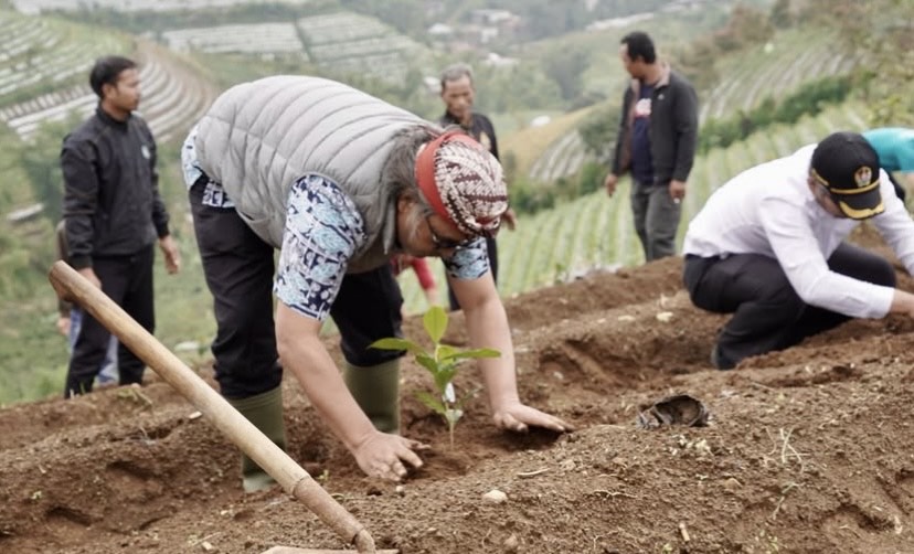 Bupati Temanggung Agus Setyawan menanam kopi arabika di lereng Gunung Prau, di Tretep.