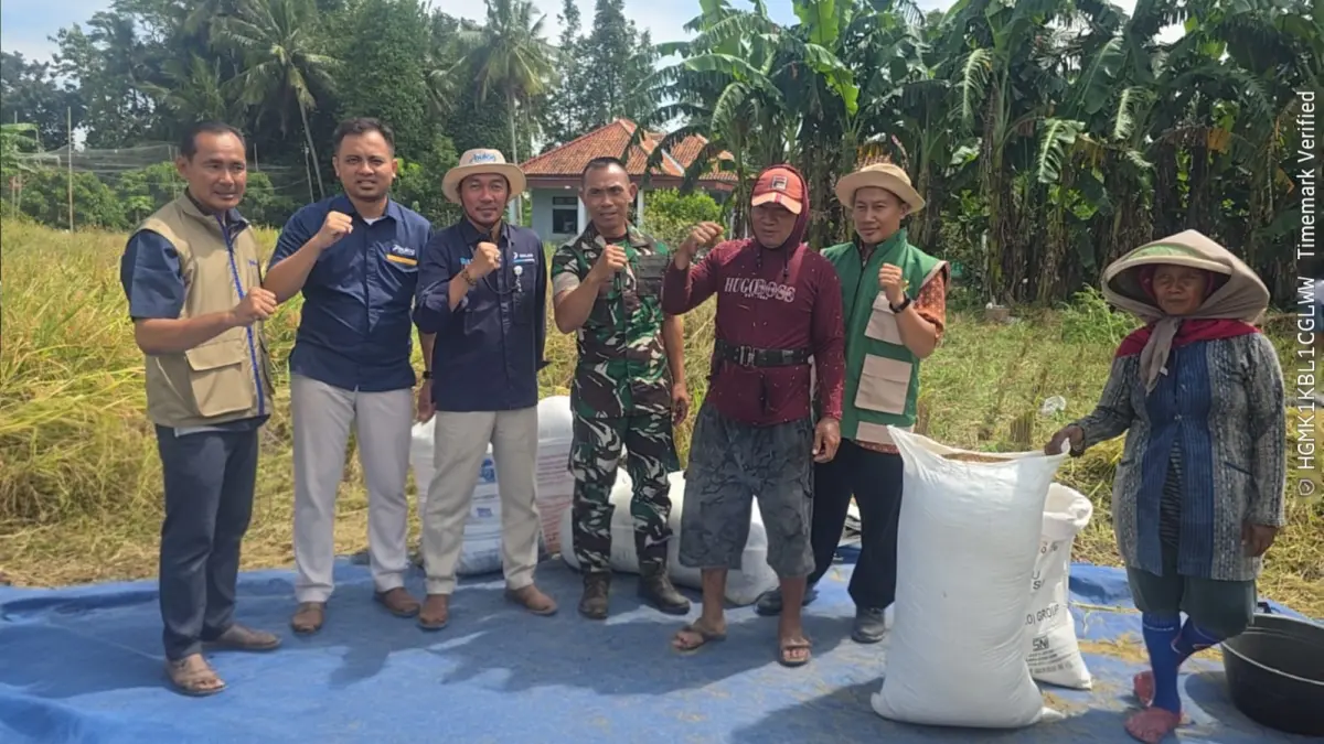 Bulog Kantor Cabang Magelang bersama Babinsa dan PPL menyerap gabah petani di Desa Ketawangrejo Kecamatan Grabag Kabupaten Magelang. (Istimewa).