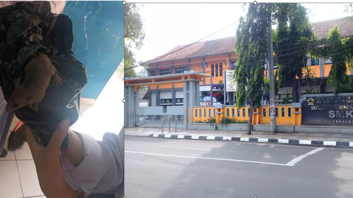 Insiden temuan tikus hidup yang menghebohkan siswa SMKN 8 Semarang, Selasa (31/3/2026) mendapat respon dari Satuan Pelayanan Pemenuhan Gizi (SPPG). (ISTIMEWA)