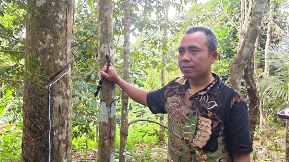 Teguh Suroso Pengusaha Karet Asal Magelang (Foto: Kelompok Penyuluhan dan Komunikasi Universitas Tidar)