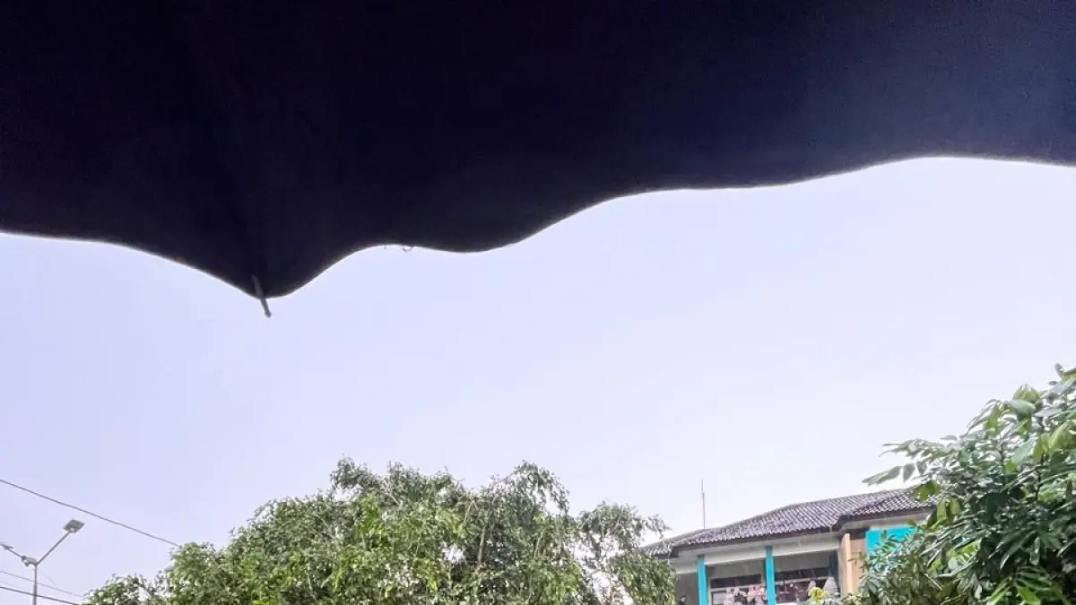 Pohon tumbang menimpa mobil yang diparkir di halaman Fakultas Teknik Universitas Sains Al-Quran (Unsiq), Kamis (9/4/2026). (Sigit Rahmanto/Jawa Pos Radar Magelang)