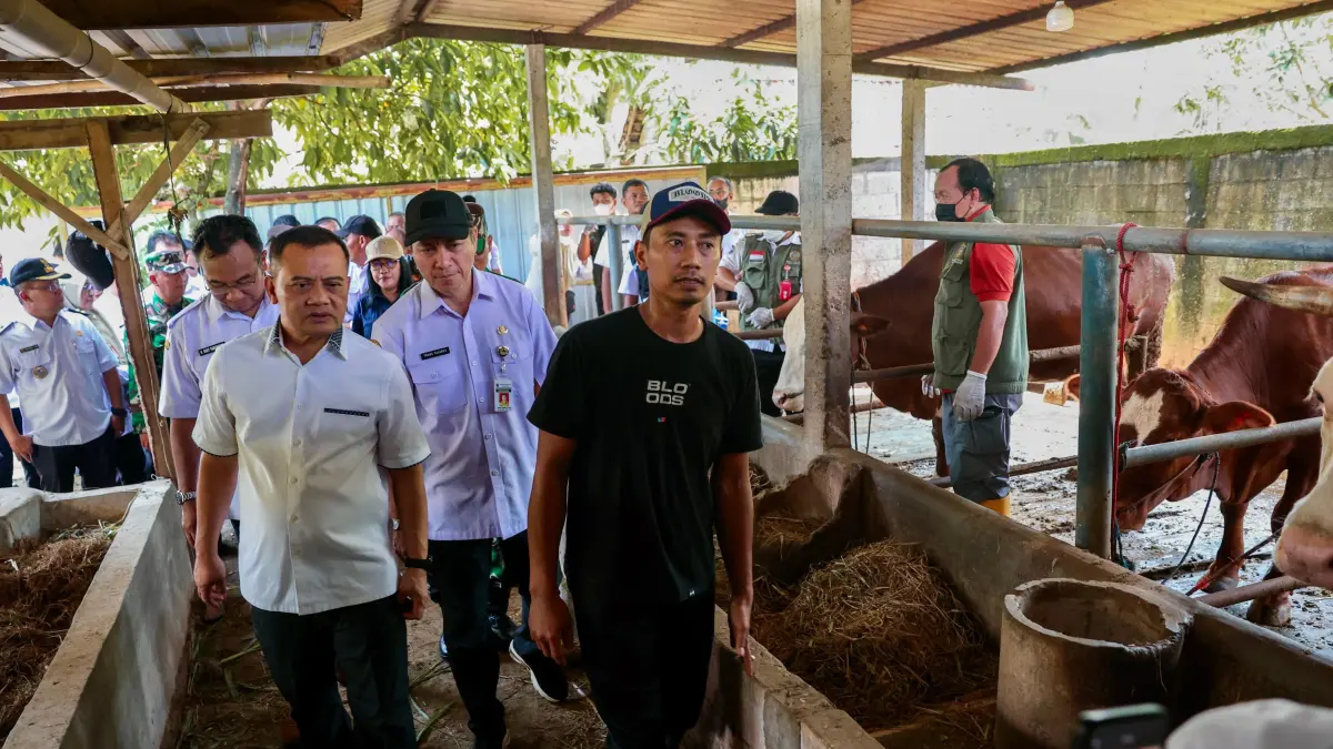 Gubernur Jawa Tengah Ahmad Luthfi meninjau program Healing di Desa Krikilan, Kecamatan Kalijambe, Kabupaten Sragen, Rabu, 15 April 2026.&nbsp;