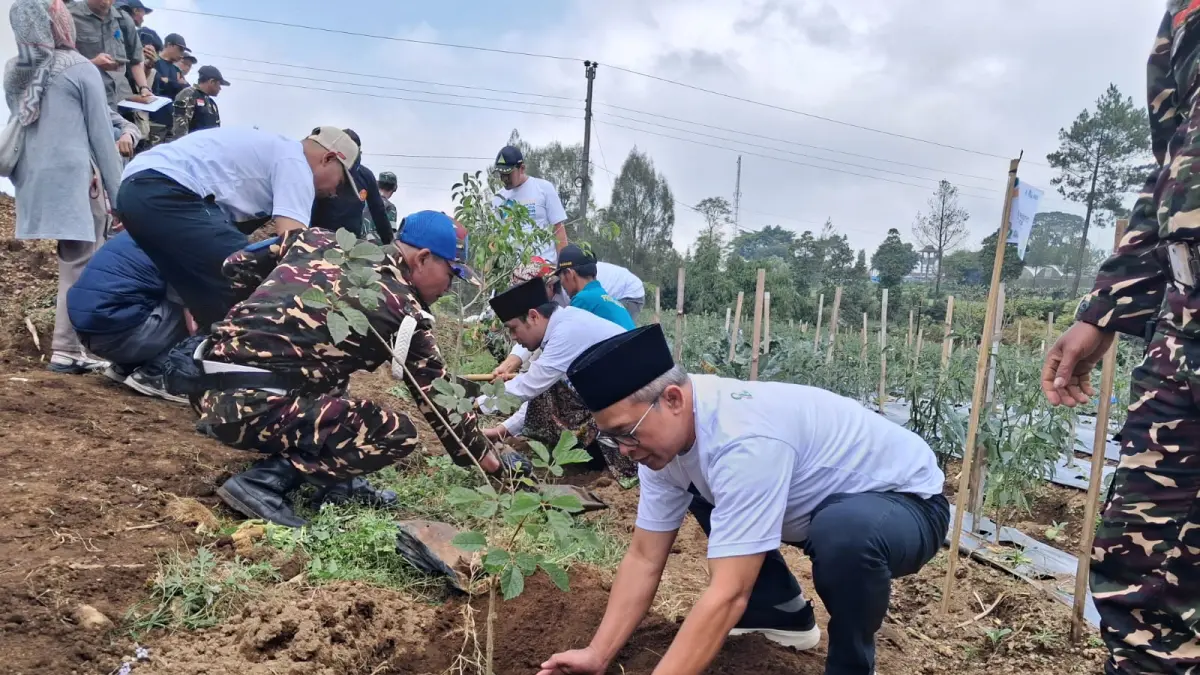 Anggota DPR RI Fraksi PDI Perjuangan Wibowo Prasetyo ikut menanam dalam gerakan peduli lingkungan tersebut.&nbsp;