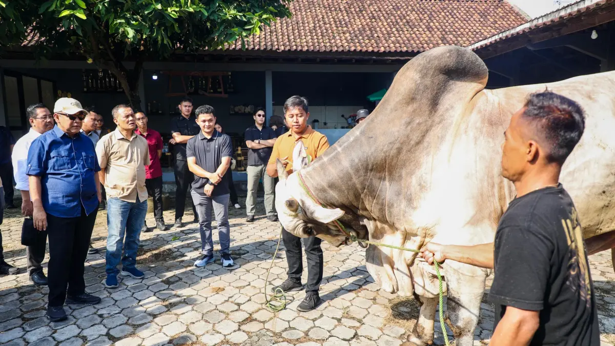 Gubernur Ahmad Luthfi, Ketua MPR Ahmad Muzani, Wamentan Sudaryono meninjau Berkah Farm di Purworejo yang dikelola anak muda, Sabtu (25/4/2026). (Istimewa).