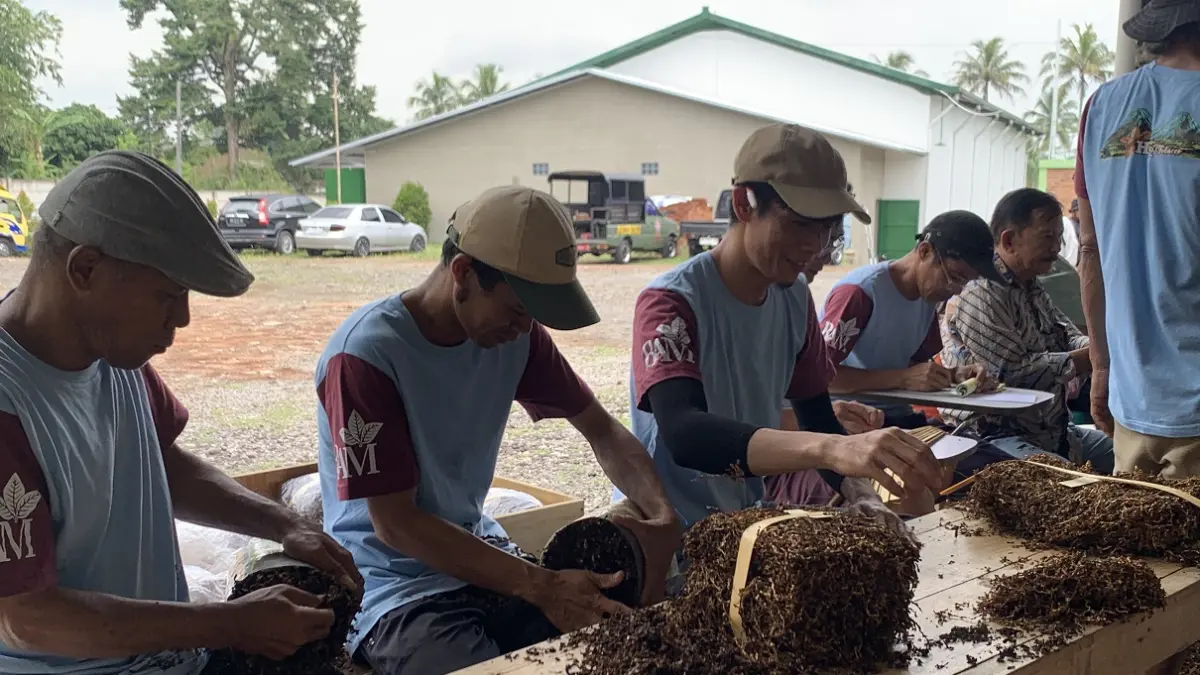 Tembakau Temanggung yang disimpan di gudang penyimpanan milik pabrikan. (Devi Khofifatur Rizqi/Jawa Pos Radar Magelang).