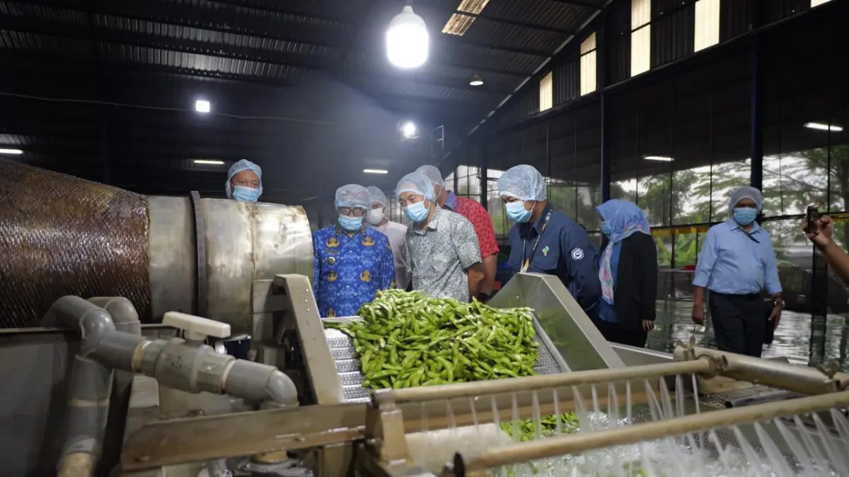 Bupati Agus Setyawan meninjau industri pengolahan sayuran beku PT Kelola Agro Makmur (KAM) di Desa Nguwet, Kecamatan Kranggan, Senin (27/4/2026). (Prokompim Temanggung for Jawa Pos Radar Magelang)