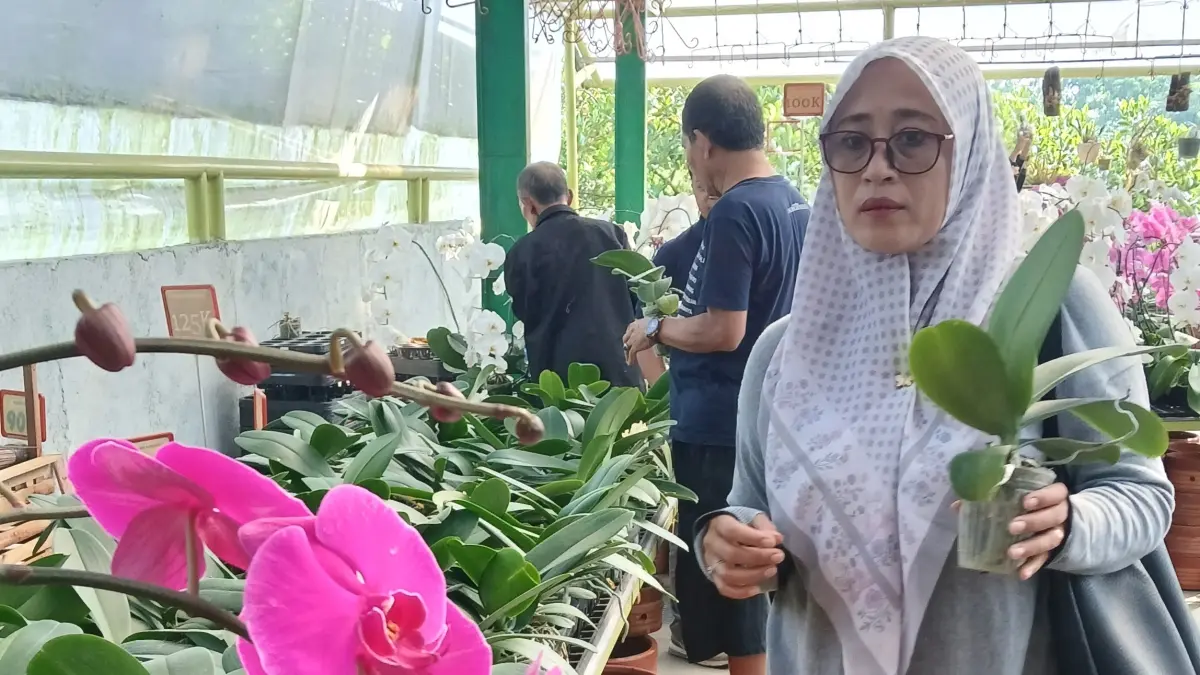 Pembeli tengah memilih anggrek di toko Anggrek Nambangan yang akan ditanam di rumahnya. (Lis Retno Wibowo/Jawa Pos Radar Magelang).