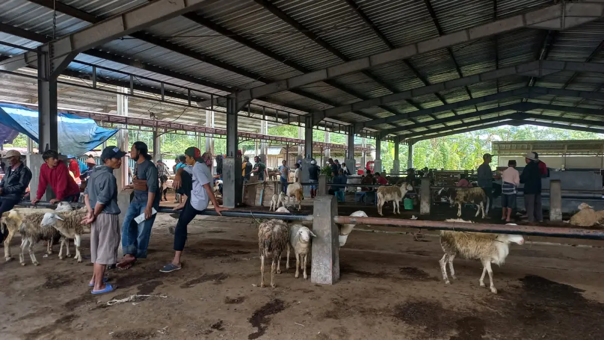 Suasana pasar hewan Wonolelo Wonosobo masih landau belum ada peningkatan menjelang Idul Adha. (IST)